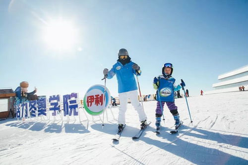 伊利前三季度營收穩健增長，液態乳基本盤穩固，多元化布局開拓新增長點